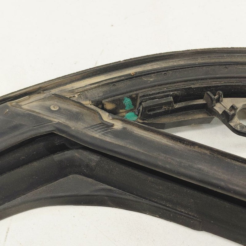 Chevy Trailblazer Door Glass Window Seal Rubber Left Driver Rear Back