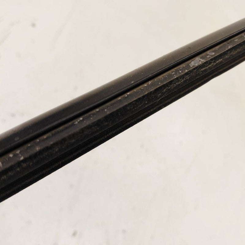 Buick Encore GX Door Glass Window Weather Strip Trim Front Left Driver