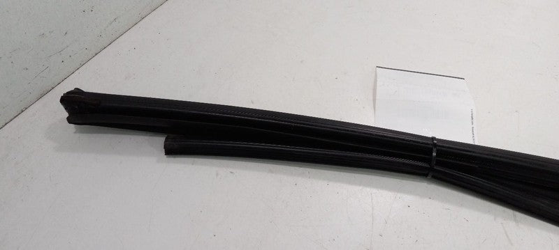 Honda Accord Door Glass Window Seal Rubber Left Rear Back 2013 2014 2015