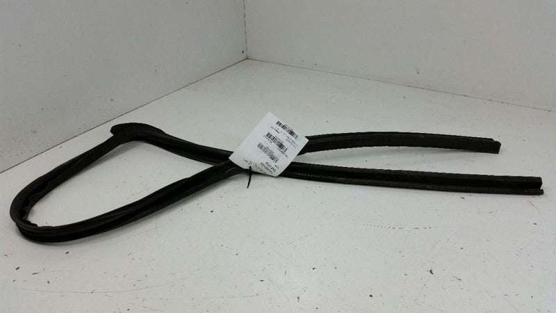 2005 Jeep Liberty Door Glass Window Seal Rubber Gasket Right Passenger Front