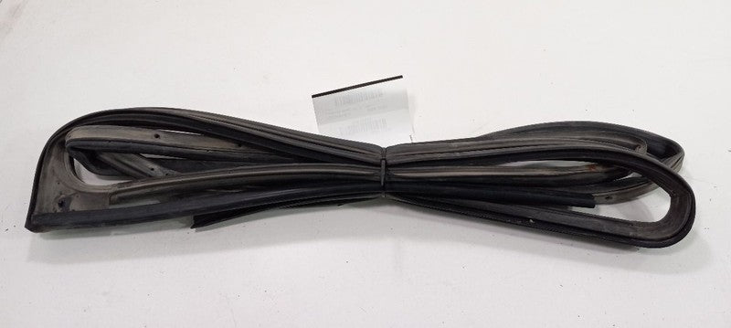 Santa Fe On Door Seal Rubber Left Rear Back 2010 2011 2012