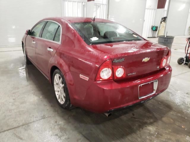 Chevy Malibu Trunk Lid Hatch Door Rear Rubber Seal 2008 2009 2010 2011 2012