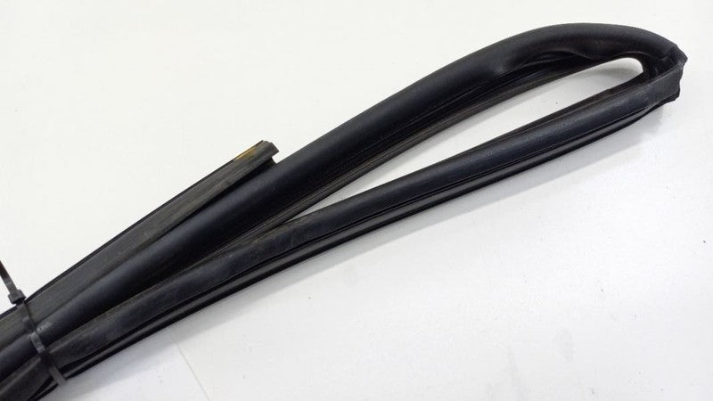 Sentra Door Glass Window Seal Rubber Left Driver Front 2007 2008 2009 2010 2011
