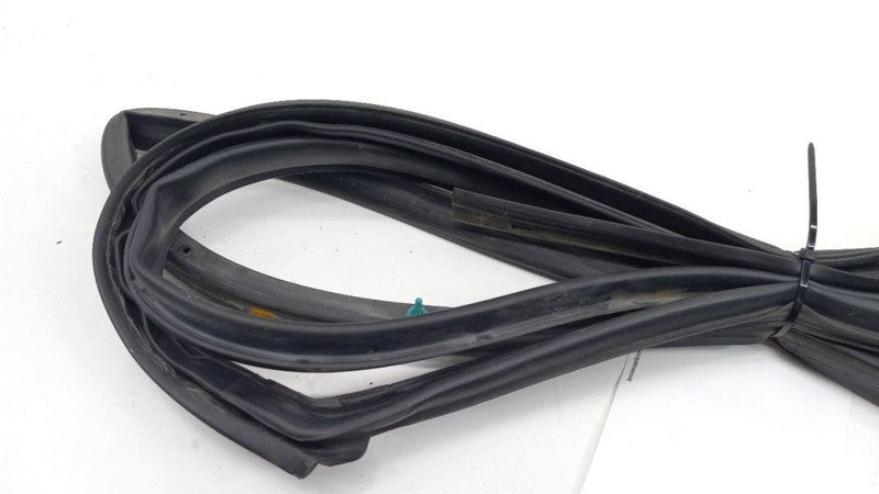 Hyundai Elantra On Door Seal Rubber Left Rear Back 2009 2010 2011 2012