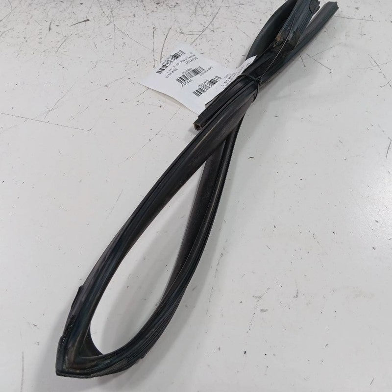 Hyundai Elantra Door Glass Window Seal Rubber Right Passenger Rear Back  2017