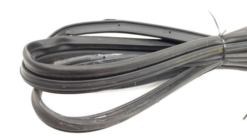 Sentra On Door Seal Rubber Gasket Right Passenger Front 2007 2008 2009 2010