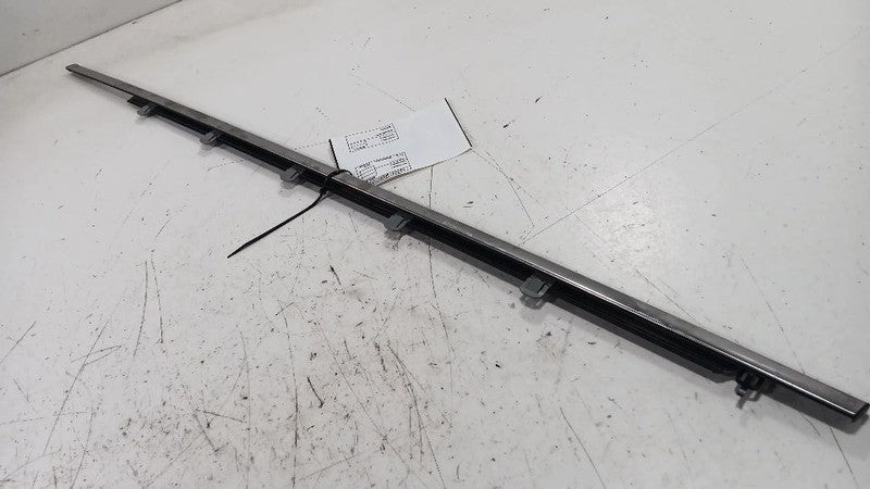 Acura RDX Door Glass Window Weather Strip Trim Front Left Driver  2016 2017 2018