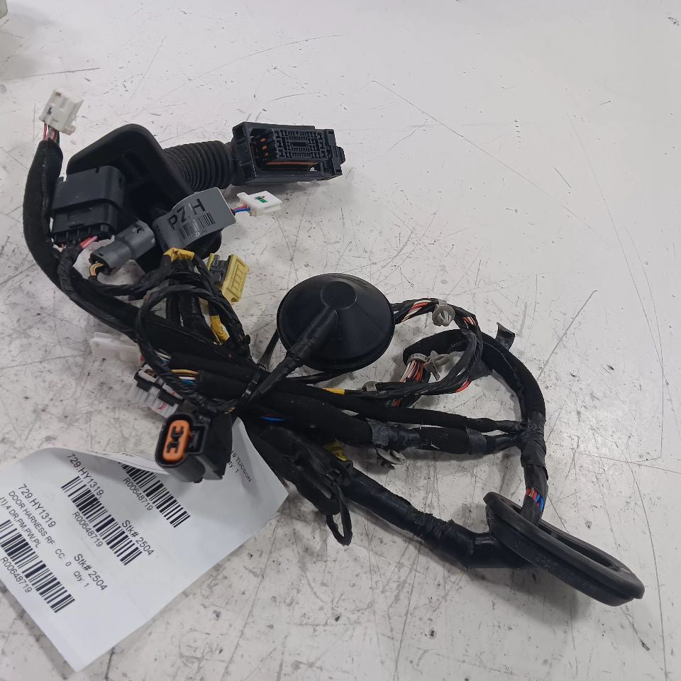 Hyundai Tucson Door Harness Wire Wiring Right Passenger Front 2019 2020 2021