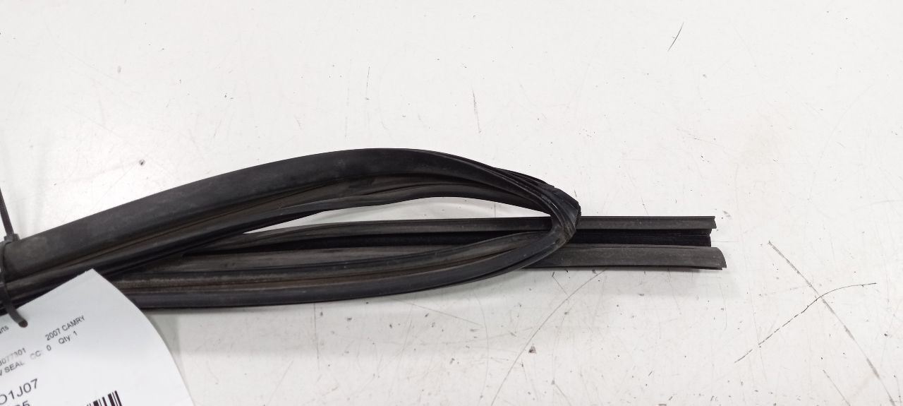 Toyota Camry Door Glass Window Seal Rubber Right Passenger Rear Back 2007 2008