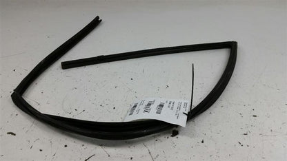 2010 Hyundai Sonata Door Glass Window Seal Rubber Gasket Left Driver Front 2009