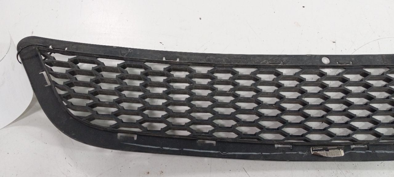 Grille Grill Lower Painted Fits 11-20 JOURNEY
