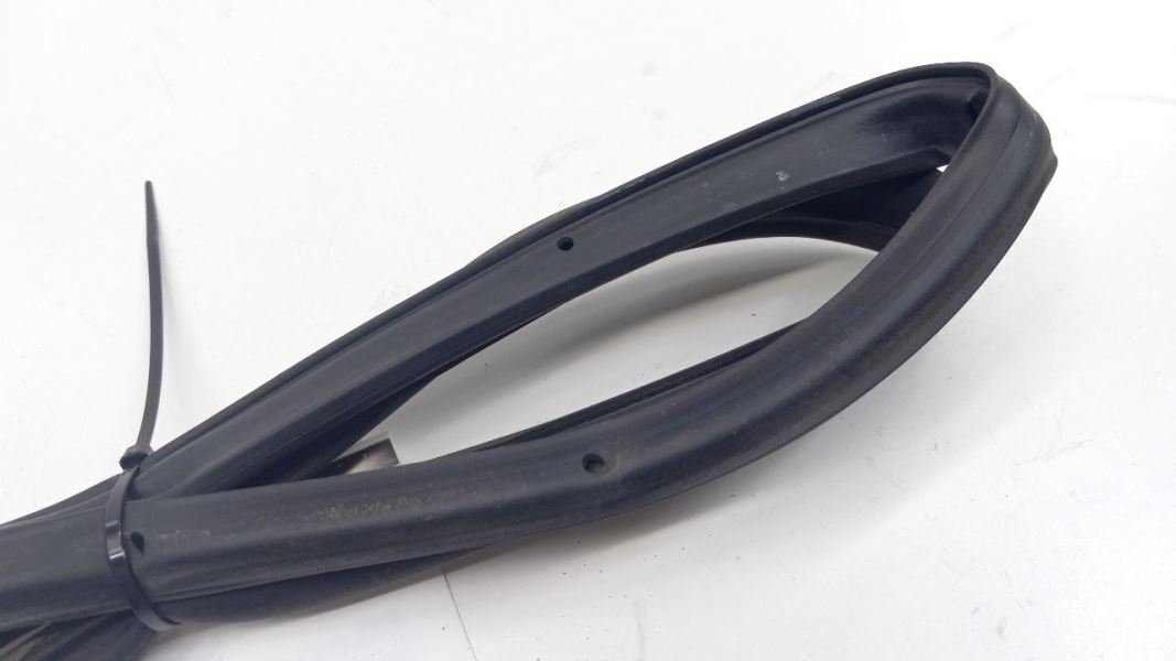 Sentra On Door Seal Rubber Right Passenger Rear Back 2006 2005 2004 2003 2002