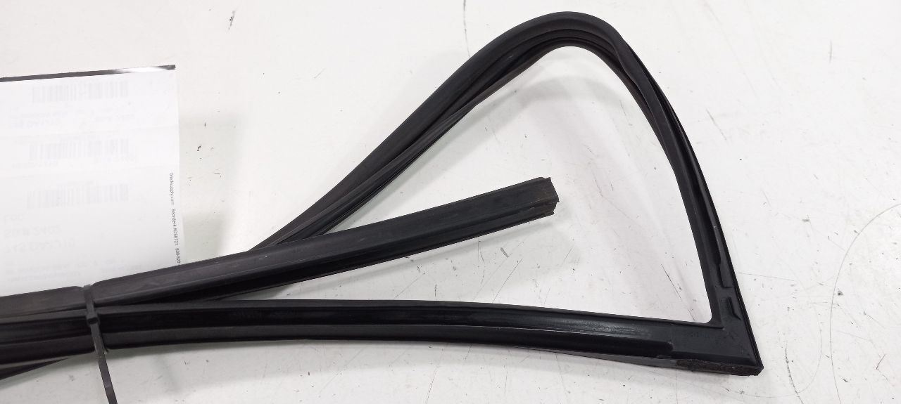 Nissan Altima Door Glass Window Seal Rubber Right Passenger Front 2010 2009 2008