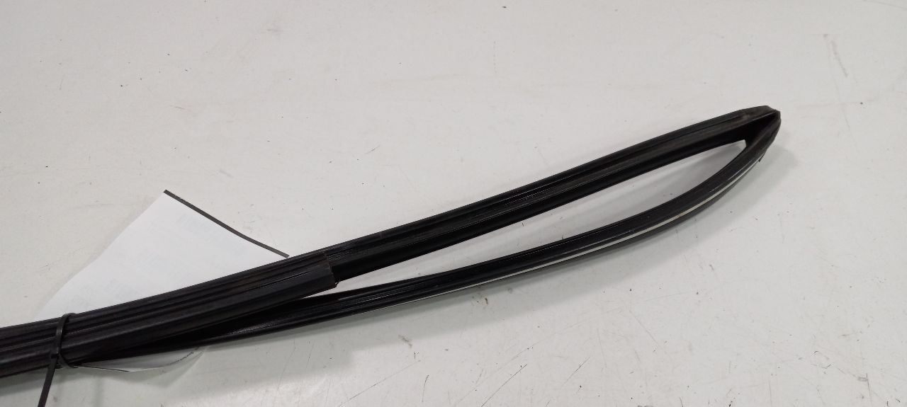 Honda Accord Door Glass Window Seal Rubber Right Passenger Front 2013 2014 2015