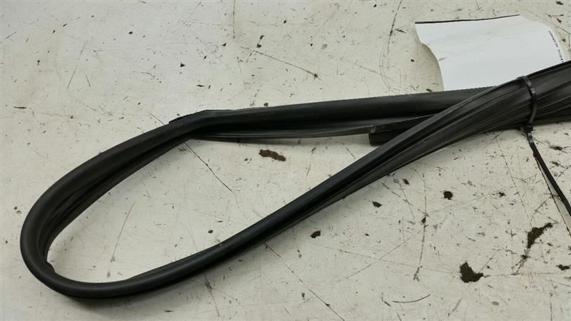 2012 Hyundai Sonata Door Glass Window Seal Rubber Gasket Left Driver Front 2013