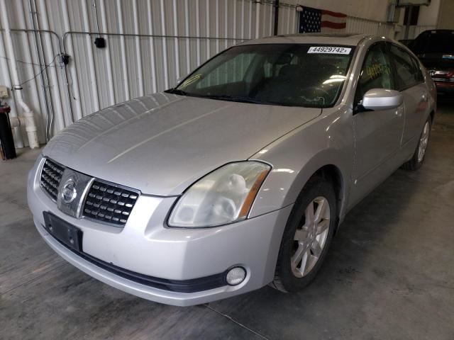 Maxima Trunk Lid Hatch Door Rear Back Rubber Seal 2004 2005 2006 2007 2008