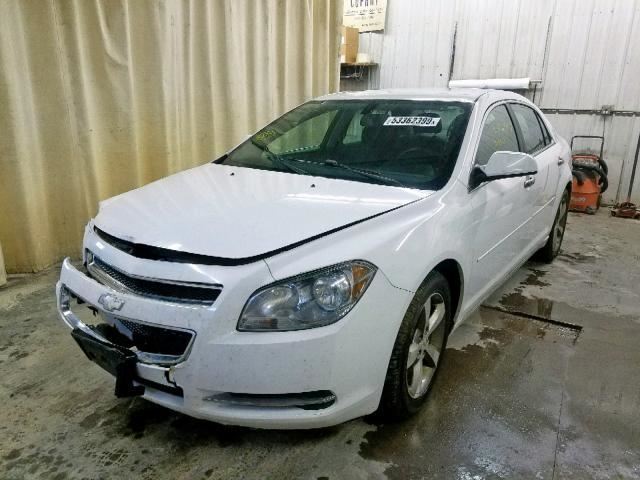 Driver Left Rear Door Glass Window  Fits 08-12 MALIBU