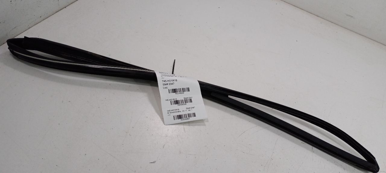 Honda Accord Door Glass Window Seal Rubber Right Passenger Front 2013 2014 2015