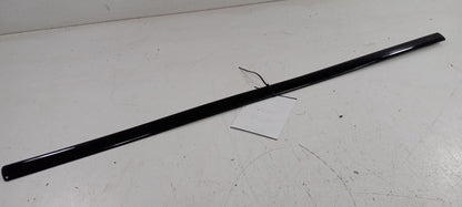 Volkswagen Jetta Door Molding Trim Strip Left Driver Front 2003 2002 2001 2000