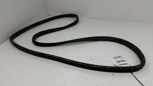 2014 Honda Accord On Body Door Jamb Seal Gasket Rear Left Driver Back OEM 2015