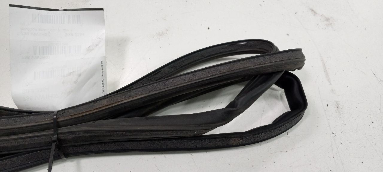 Volkswagen Rabbit On Door Seal Rubber Right Passenger Rear Back 2006 2007 2008