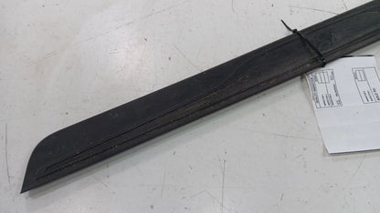 Hyundai Elantra Sill Trim Plate Door Jam Threshold Right Passenger Front  2011 2