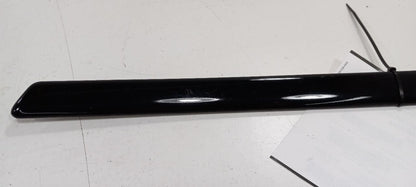 Volkswagen Jetta Door Molding Trim Strip Left Driver Side Rear Back 2003 2002 01