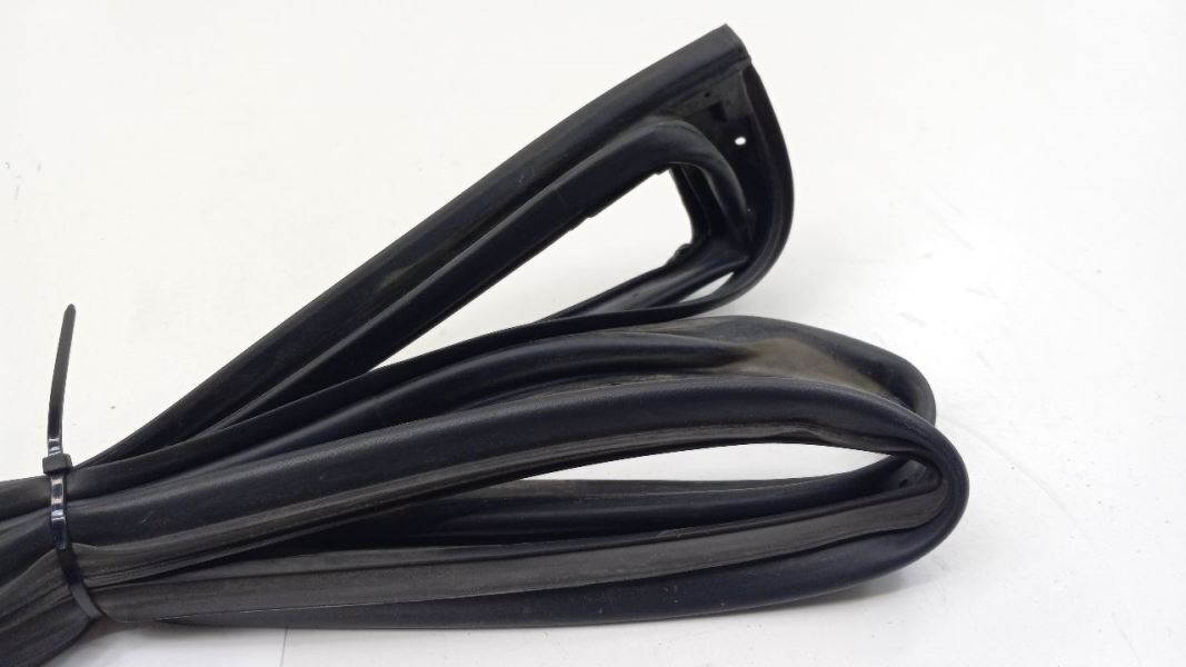 Elantra On Door Seal Rubber Left Driver Rear Back 2009 2010 2011 2012