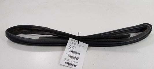 Santa Fe Door Glass Window Seal Rubber Left Driver Front 2010 2011 2012