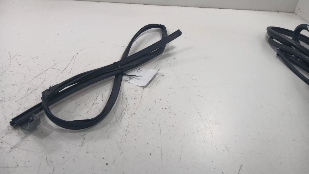 Honda Civic Door Glass Window Seal Rubber Right Passenger Front  2016 2017 2018