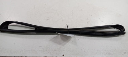 Honda Accord Door Glass Window Seal Rubber Right Passenger Front 2012 2011 2010