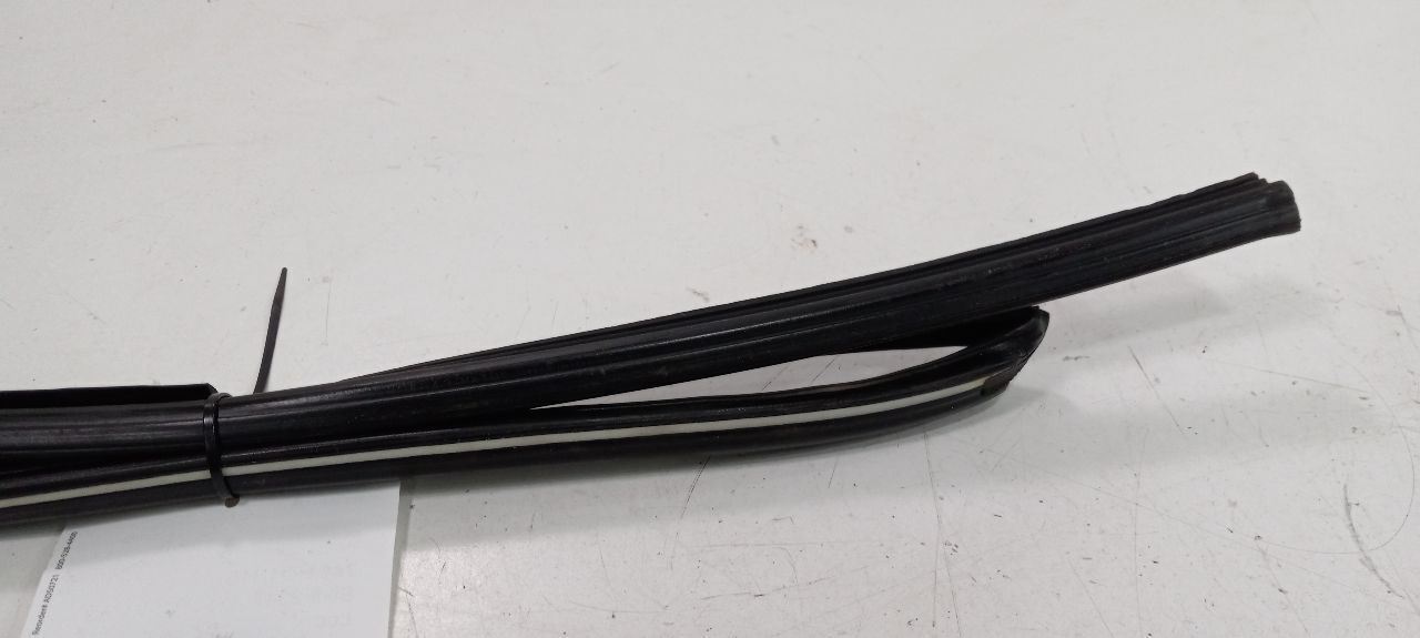 Honda Accord Door Glass Window Seal Rubber Right Passenger Rear Back 2015 2014