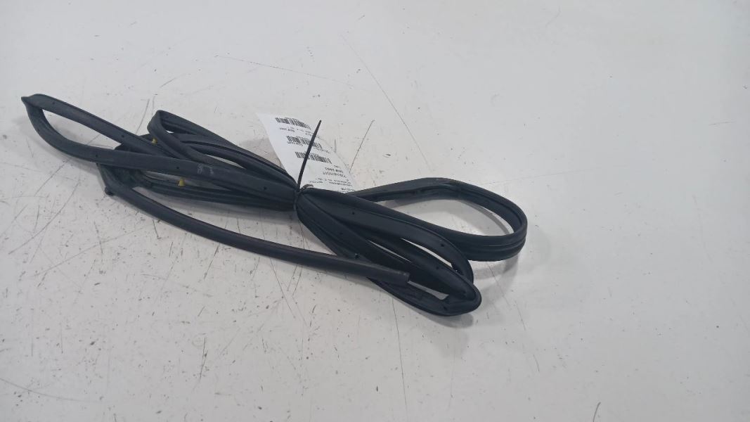 Honda Civic On Door Seal Rubber Left Driver Rear Back  2016 2017 2018 2019