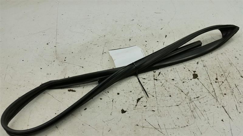 2012 Hyundai Sonata Door Glass Window Seal Rubber Gasket Left Driver Front 2013