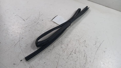 Toyota Rav 4 Door Glass Window Seal Rubber Left Driver Rear Back  2019 2020 2021