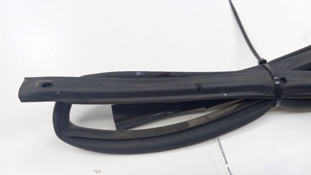 Sentra On Door Seal Rubber Right Passenger Rear Back 2006 2005 2004 2003 2002