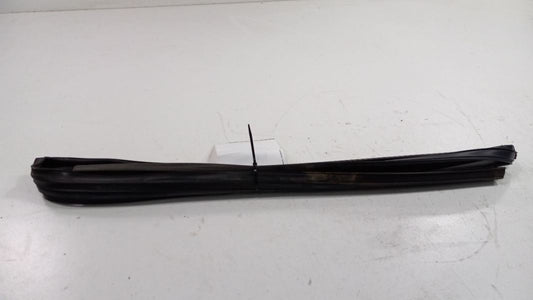 Maxima Door Glass Window Seal Rubber Left Driver Rear Back 2004 2005 2006 2007