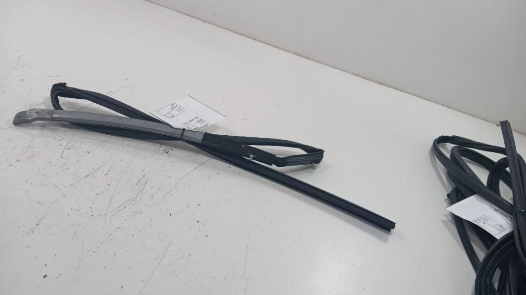 Honda Civic Door Glass Window Seal Rubber Left Driver Rear Back  2016 2017 2018