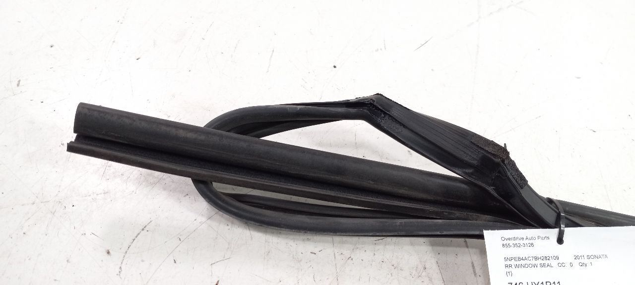 Hyundai Sonata Door Glass Window Seal Rubber Right Passenger Rear Back 2011 2012