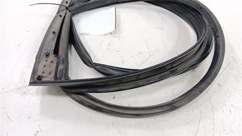 Hyundai Sonata On Door Seal Rubber Right Passenger Rear Back 2018 2019