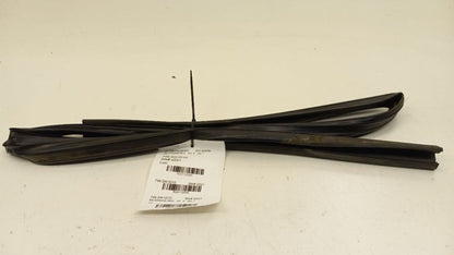 Sentra Door Glass Window Seal Rubber Right Passenger Rear Back 2008 2009 2010 11