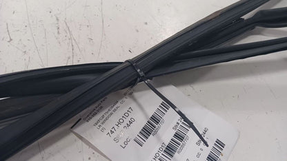 Honda Civic Door Glass Window Seal Rubber Left Driver Rear Back  2016 2017 2018