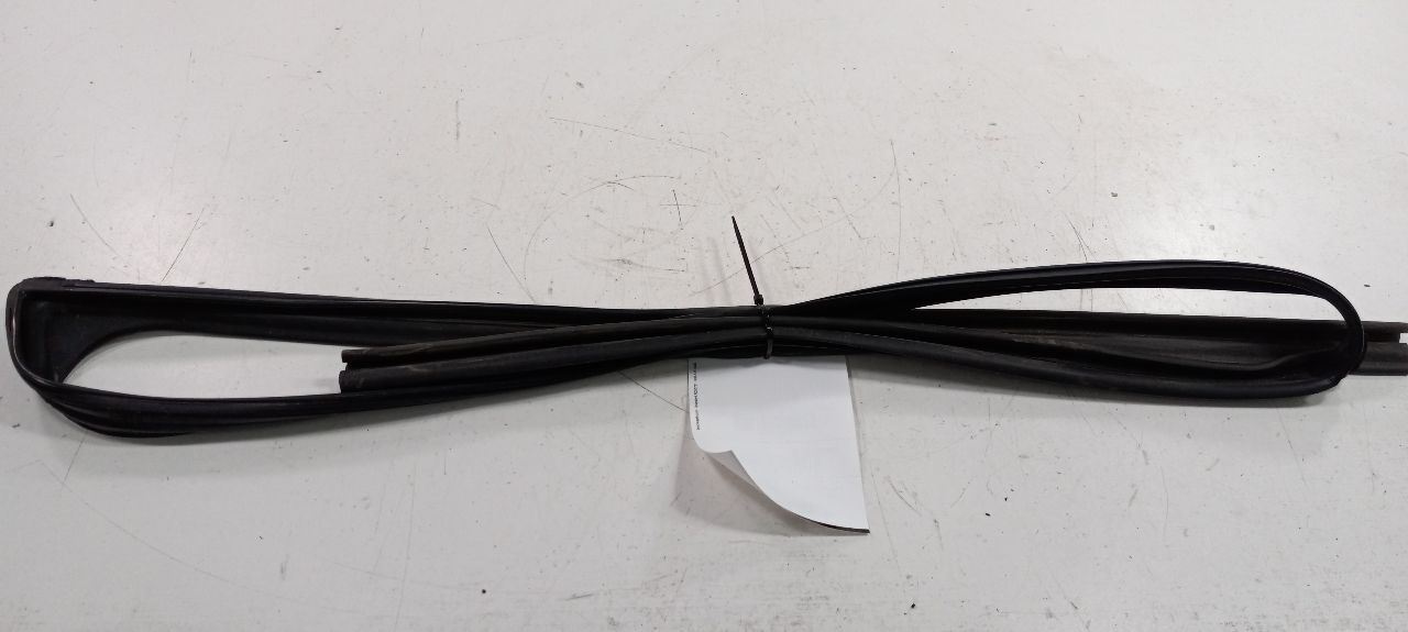 Honda Accord Door Glass Window Seal Rubber Left Driver Front 2012 2011 2010 2009