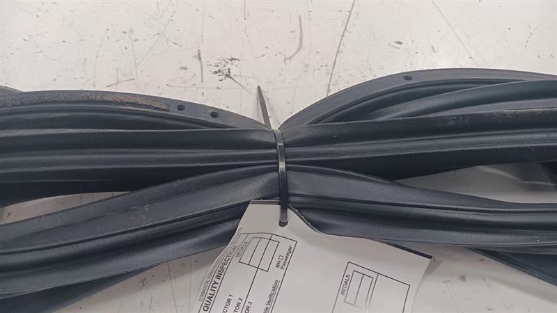 Honda Civic On Door Seal Rubber Right Passenger Front  2016 2017 2018 2019