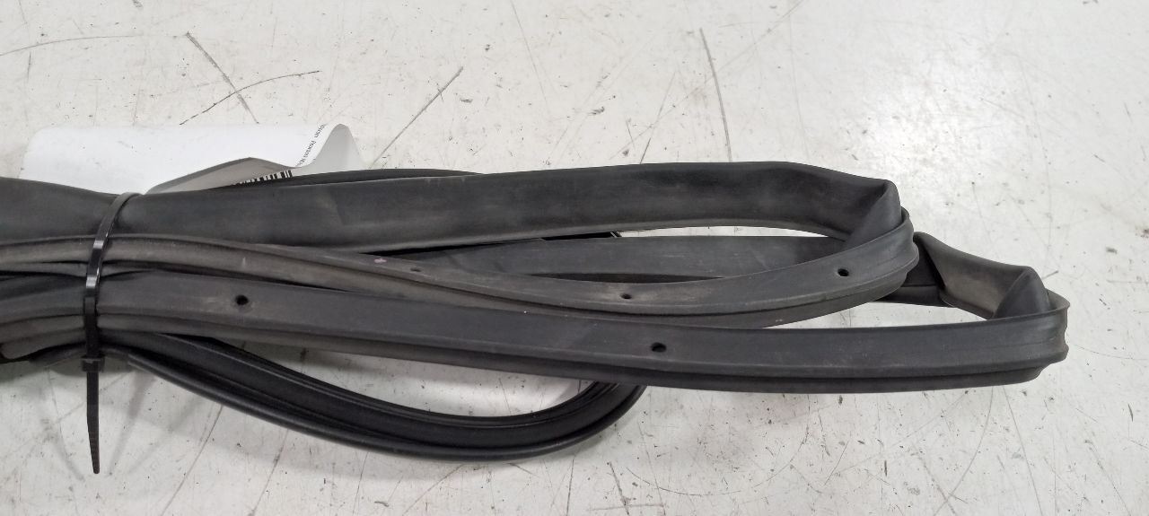 Hyundai Sonata On Door Seal Rubber Left Driver Rear Back 2011 2012 2013