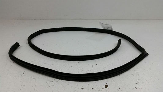 2010 Hyundai Sonata On Body Door Jamb Seal Gasket Rear Left Driver Back OEM 2009