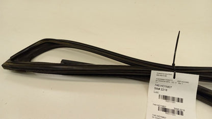 Accord Door Glass Window Seal Rubber Right Passenger Front 2007 2006 2005 2004