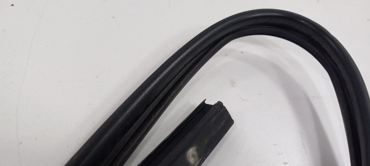 Accent Door Glass Window Seal Rubber Left Driver Front 2006 2007 2008 2009 2010