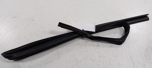 Hyundai Elantra Door Glass Window Seal Rubber Right Passenger Rear Back 2013 15