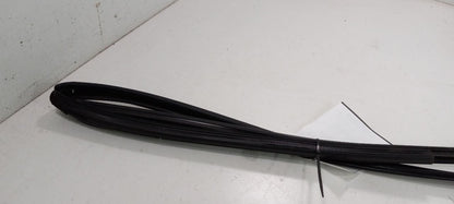 Honda Accord Door Glass Window Seal Rubber Right Passenger Front 2013 2014 2015